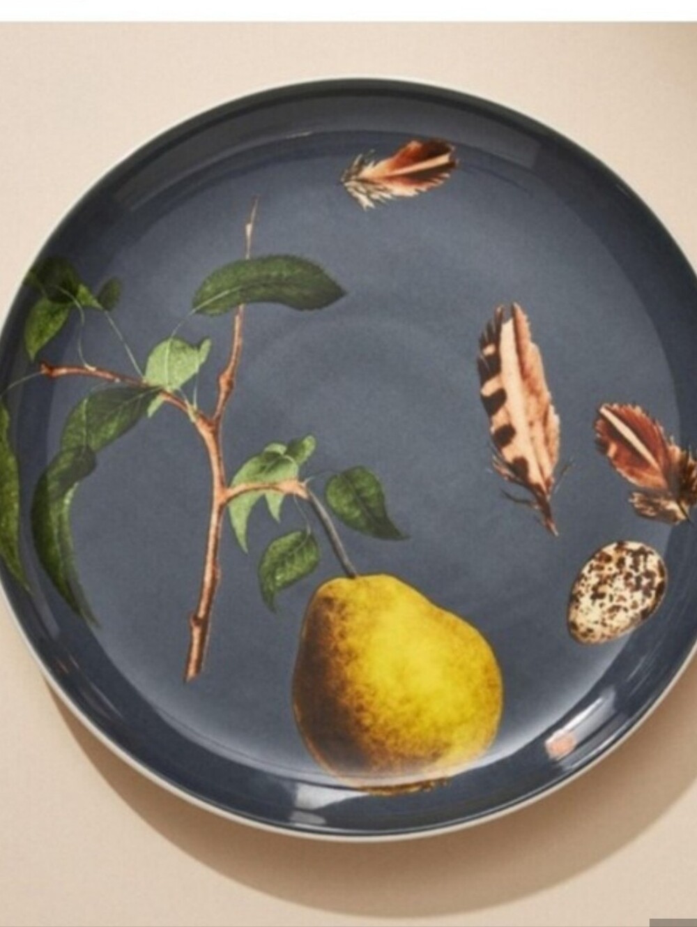 Anthropologie Nature Studies Single Dessert Plate